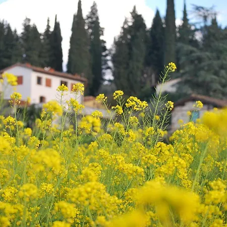 Giulio Διαμέρισμα *