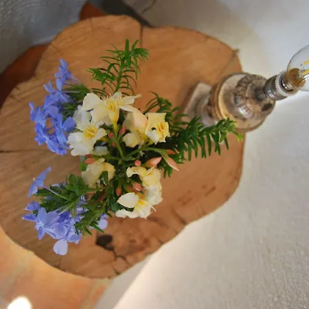 Giulio Apartment